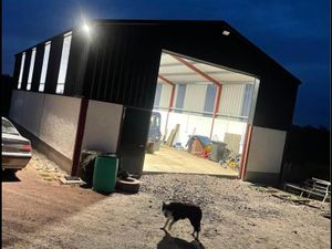 !!!47x30x14 KIT SHED!!! 1 WEEK SALE NOW ON!!! - Image 2