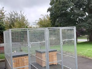 Galvanised dog clearance kennels for sale