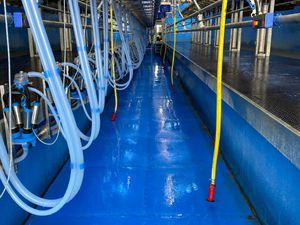 EASYFIX Parlour Matting Solutions - Image 2