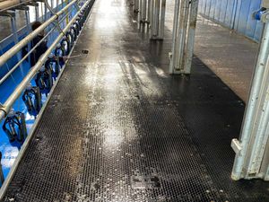 EASYFIX Parlour Matting Solutions - Image 3