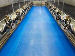 Parlour Matting - Parlour Pit & Cow Standing Area - Image 2