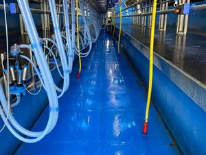 Parlour Pit Matting Solutions - Image 2