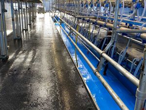 Parlour Pit Matting Solutions - Image 3