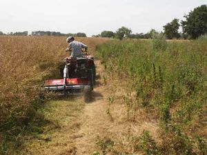 Trailed Flail Mower - Image 4