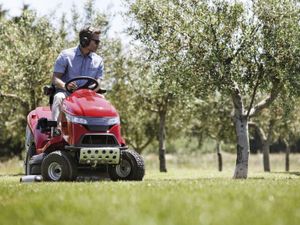 Honda HF2625 - Image 3