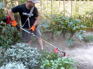 Universal cutter for Strimmer - 4 blades - Image 3