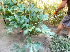 Universal cutter for Strimmer - 4 blades - Image 4