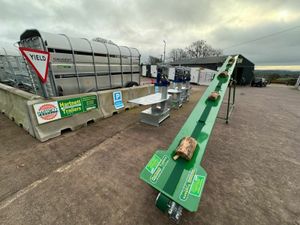 Firewood Conveyors/Elevators - Image 4
