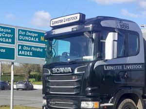 Charleville Louth - Image 2