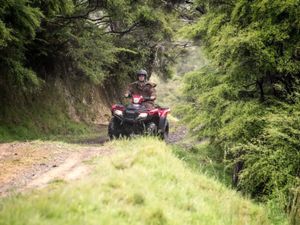 Honda Quads on Finance - Image 4