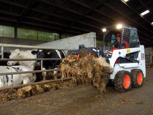 Bobcat S70 Skid Steer | 3 Foot Wide - Image 2