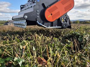 Cangini Excavator Flails - Image 2