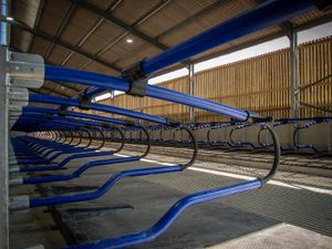 EASYFIX Cow Cubicles - Image 4