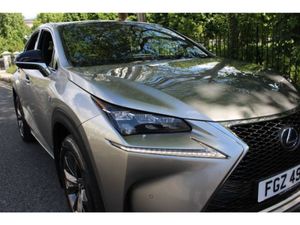 Lexus NX 300H F Sport Panoramic Glass Roof - Image 4