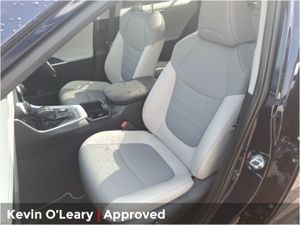 Toyota Rav4 2.5 Hybrid Awd-i Platinum - Image 4