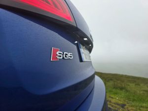 AUDI SQ5 V6T SLINE QUATTRO AUTOMATIC - Image 4