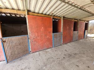 Large Container Shed Stables 40ft Storage - Image 2
