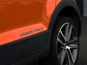 POLO CROSS 2013 - Image 4