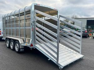M-TEC 14FT X 6FT cattle trailer - Image 4