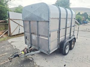 8 x 5 Cattle Box Trailer - Image 3