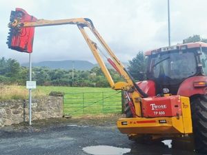 2011 Twose TP600 LP Hedge Cutter - Image 2