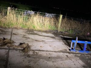 New Holland TM TL LED Lights - Image 4