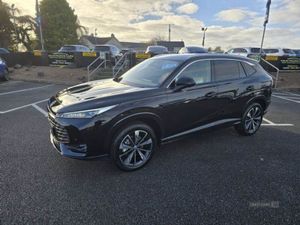 MG HS Trophy - Image 2