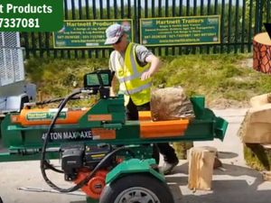 40 Ton Petrol Log Splitter D-Model - Image 3