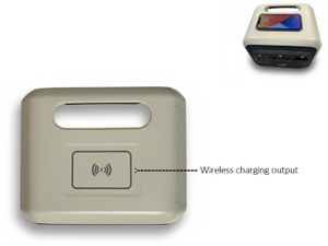 Pacini Portable Power Station outlets,700W - Image 4