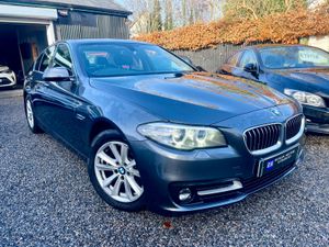BMW 520d SE /Immaculate Condition/Fully Serviced - Image 4