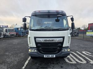 2019 DAF LF 230 18 TON GROSS 4X2 - Image 2