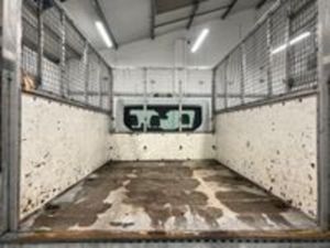 Ford Transit Transit 2.0 350 EcoBlue HD Leader RWD - Image 4