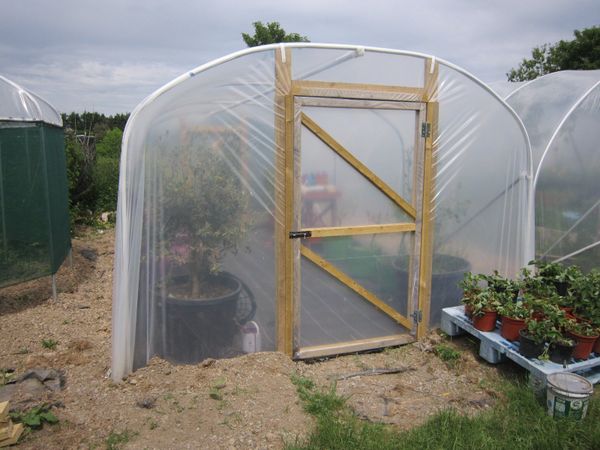 11ft wide  Polytunnel