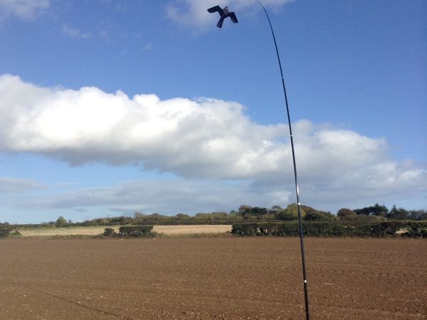 Bird Scarer Hawk Kite + 7m Telescopic Pole for sale in Co. Kerry