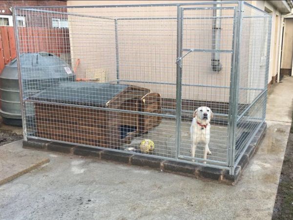 Dog pens runs cages enclosures kennels Galvanised