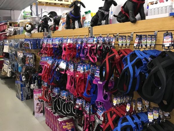 Everything for your new puppy under one Roof.