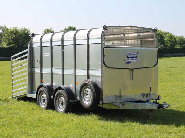 New TA510 12' x 5'10'' Ifor Williams Cattle Traile