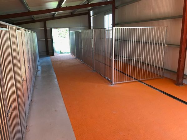 Kingspan dog outlet kennels