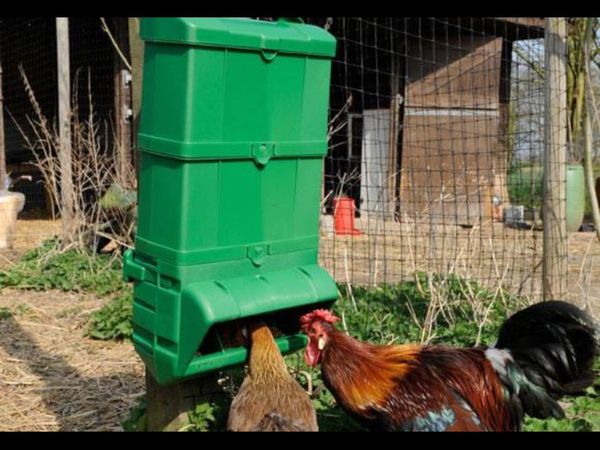 Poultry supplies delivered nationwide