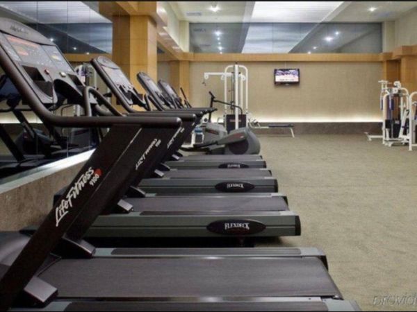 LF treadmills | commercial life fitness