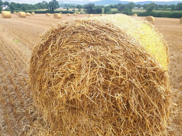 Round and square bale hay and straw