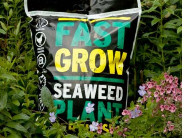 Seaweed fertiliser