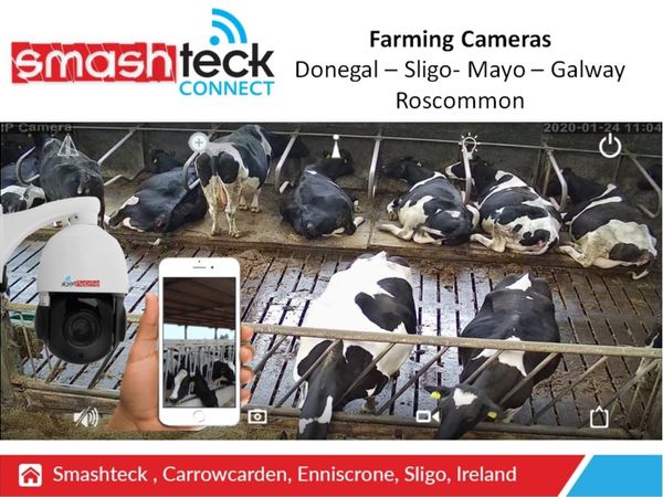 Calving / Lambing Cameras - West of Ireland