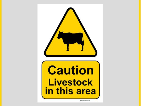 Dairy Safety & Warning Signs. #Best Value Here