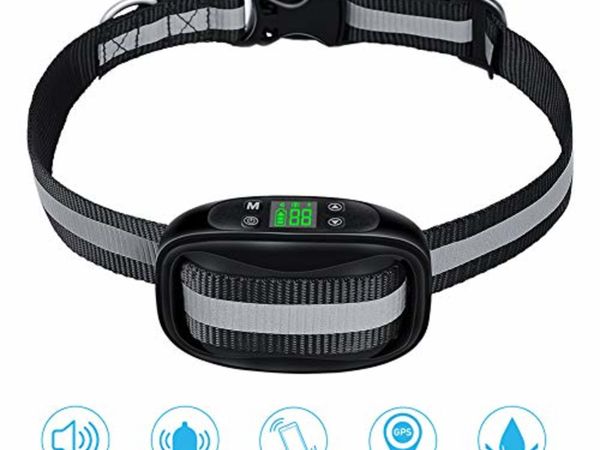 Dog barking shop collar argos