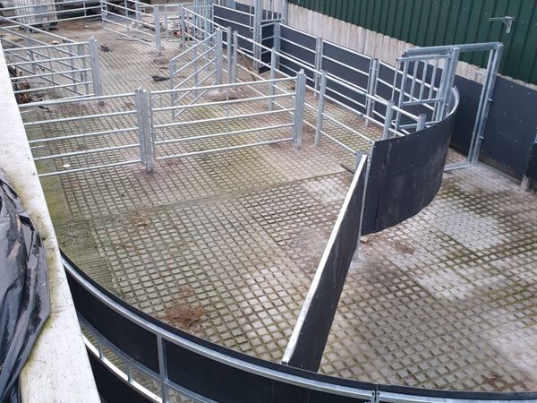 Cattle handling unit, semi circular forcing gate