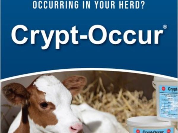 Do you have a Crypto problem in your herd?