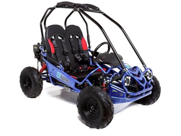 Childrens off road buggy on sale