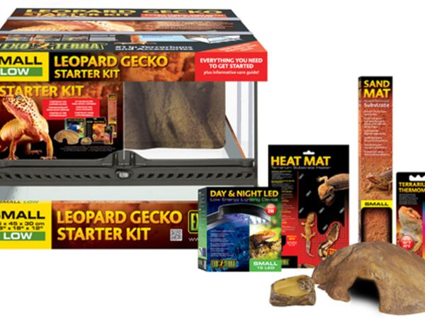 Exo Terra Leopard Gecko Starter Kit SALE!