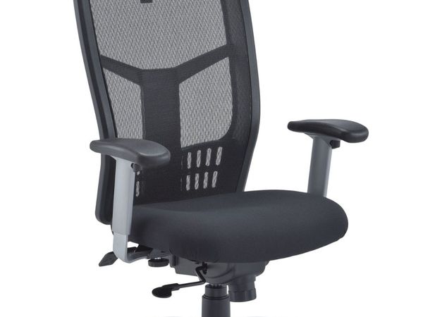 High End Ergonomic Office Chairs